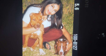 serine pet sitter à CHOISY LE ROI 94600_0