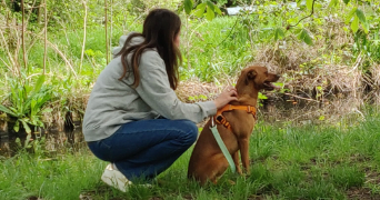 marine pet sitter à VINCENNES 94300_1