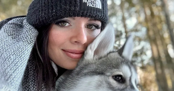 nolwenn pet sitter à ULLY ST GEORGES 60730_0