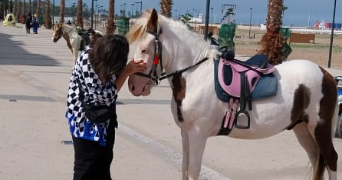 nada pet sitter à NANTES 44000_9
