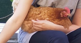 alessia pet sitter à Grasse 06130_6
