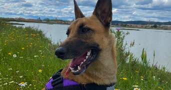 leandra pet sitter à ISTRES 13128_6