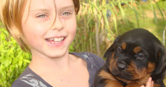 ambre pet sitter à BIZANET 11200_1