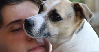 laurence pet sitter à PERPIGNAN 66000_3