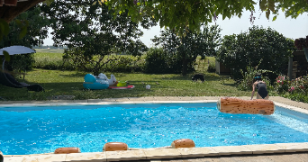 lilou pet sitter à TOULOUSE 31200_4