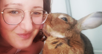 amandine pet sitter à BONREPOS SUR AUSSONNELLE 31470_2