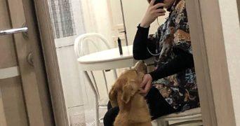 tatiana pet sitter à TREPOT 25620_1
