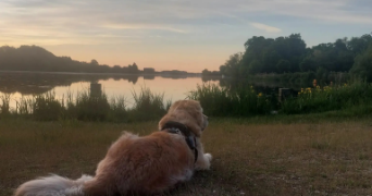 loris et agathe pet sitter à BERRY BOUY 18500_1