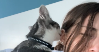 clémence pet sitter à ANGERS 49000_3