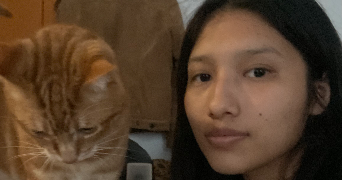 heydee pet sitter à PARIS 08 75008_0