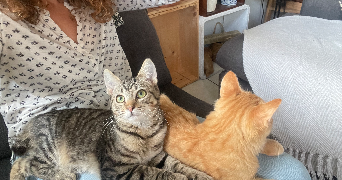 juliette pet sitter à BORDEAUX 33000_2