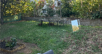 mathilde pet sitter à VILLEBON SUR YVETTE 91140_1