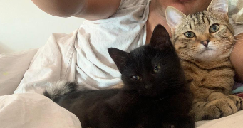 sami pet sitter à TOULOUSE 31200_4