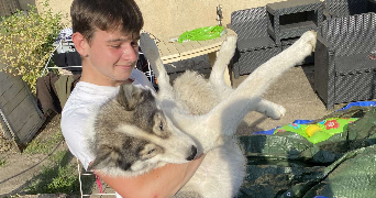 léa pet sitter à LEVROUX 36110_1