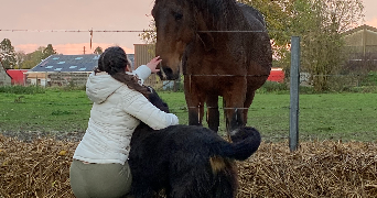 victoire  pet sitter à LILLE 59000_2