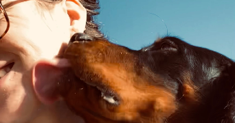 margaux pet sitter à PAU 64000_1