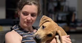 alma pet sitter à ANNECY 74000_0