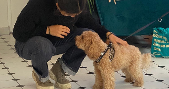 marine pet sitter à ST BREVIN LES PINS 44250_1