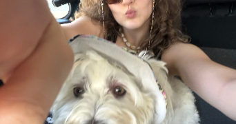 zaineb pet sitter à CHATOU 78400_0