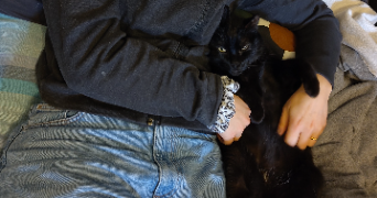 marie pet sitter à ORANGE 84100_2
