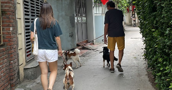 kim lan pet sitter à PARIS 03 75003_3