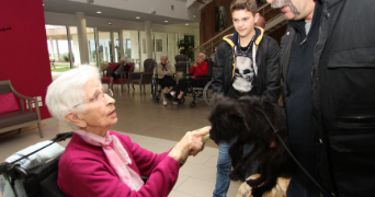 didier pet sitter à L ISLE JOURDAIN 86150_0