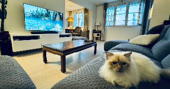 Arnaud pet sitter à Saint-Germain-en-Laye 78100_0
