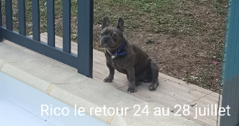corine pet sitter à MARSEILLE 12 13012_5