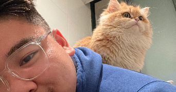 william pet sitter à SANNOIS 95110_3