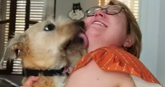 anne pet sitter à AMIENS 80000