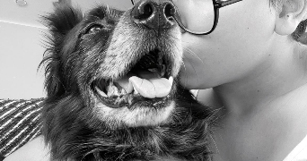 mathilde pet sitter à COUZEIX 87270_8