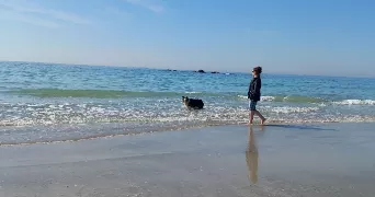 charleen pet sitter à CREVIN 35320
