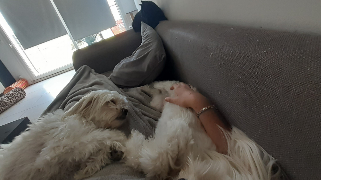 mélanie pet sitter à DUNKERQUE 59240_1