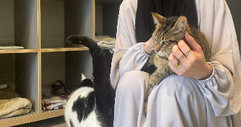 elena pet sitter à EPINAY SUR SEINE 93800_1