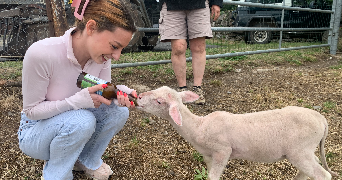sélénia pet sitter à PARIS 19 75019_5