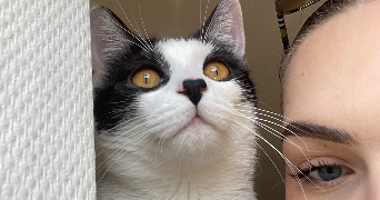 jade pet sitter à NANCY 54000_0