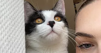 jade pet sitter à NANCY 54000