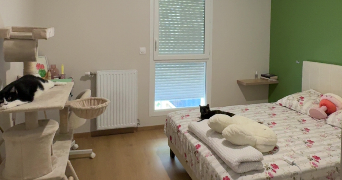 inssaf pet sitter à VENISSIEUX 69200_3