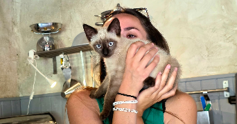 lola pet sitter à LA CIOTAT 13600_0