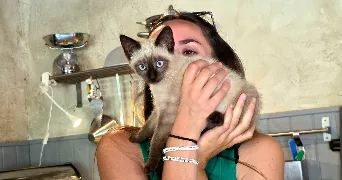 lola pet sitter à LA CIOTAT 13600