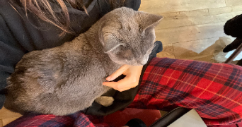 marie pet sitter à PARIS 12 75012_1