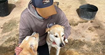 angélique pet sitter à MAISONS LAFFITTE 78600_4