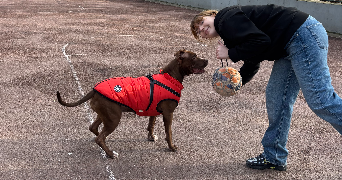 lilou pet sitter à PARIS 18 75018_4