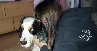 clara pet sitter à AUBAGNE 13400
