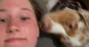 camille pet sitter à MERIGNAC 33700_1