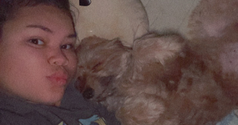 manihi pet sitter à Boulogne sur mer 62200_5