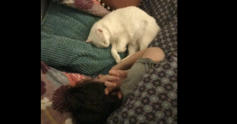 marie pet sitter à CLICHY 92110_5