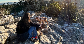 lucie pet sitter à MONTPELLIER 34000_0