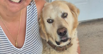 nathalie pet sitter à SEGRE EN ANJOU BLEU 49500_3