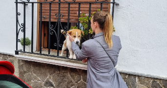 julia pet sitter à BOIS COLOMBES 92270_4